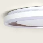 applique-plafonnier-rond-24w-led-installation-en-saillie-blanc