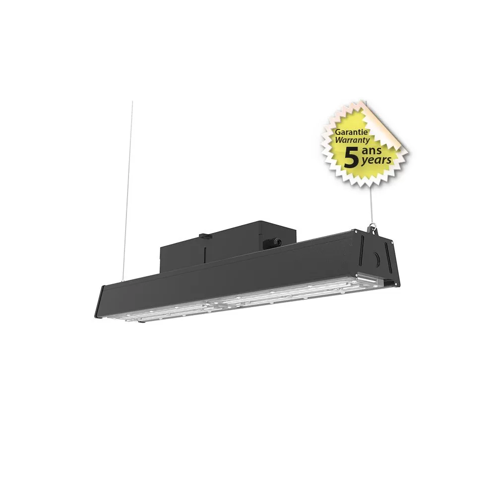 Lampe industrielle LED Intégrées Noir 100W 4000K - Garantie 5 ans