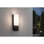 applique-exterieur-led-bonnie-ip44-3000k-560lm-anthracite-