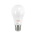 -ampoule-led-e27-eclairage-public-industriel-50w-6500-lumens