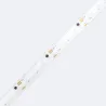 ruban-5m-led-rgbic-24v-ip65
