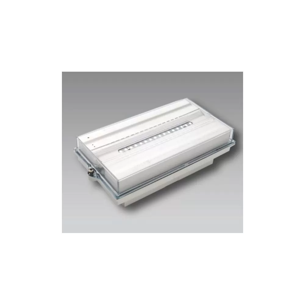 projecteur-led-10w-noir-avec-connecteur-direct-cable-presse-etoupe-ip65-878-lumens-cct