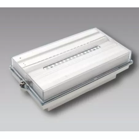 projecteur-led-10w-noir-avec-connecteur-direct-cable-presse-etoupe-ip65-878-lumens-cct