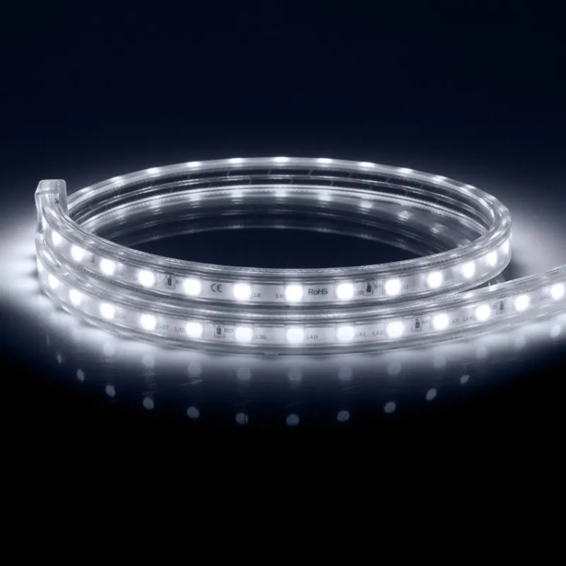 Ruban lumineux strip led 220v ip65 6000k flexible ultra lumière blanc froid