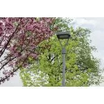tete-de-mat-led-droit-orientable-multi-puissance-eclairage-public-cct
