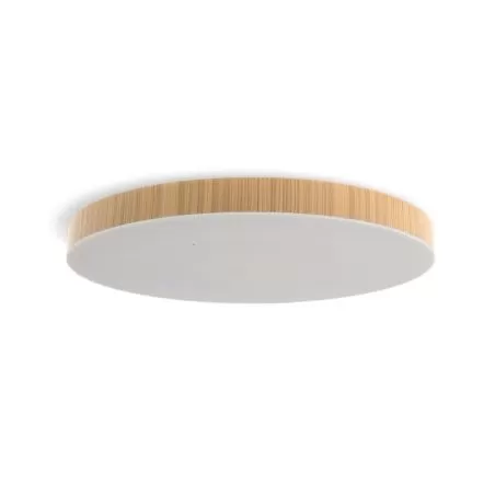 plafonnier-led-cct-dynamique-24w-28cm-wifi-ip54