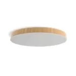 plafonnier-led-cct-dynamique-24w-28cm-wifi-ip54