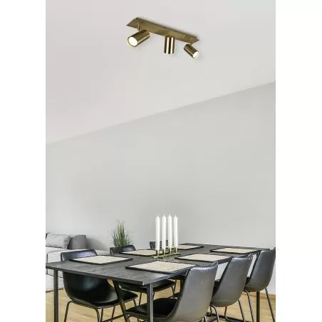 Spot Intérieur Métal laiton fumé 230V.