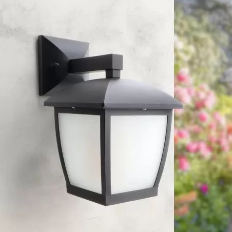 applique-murale-exterieur-lanterne-27cm-noire-culot-e27