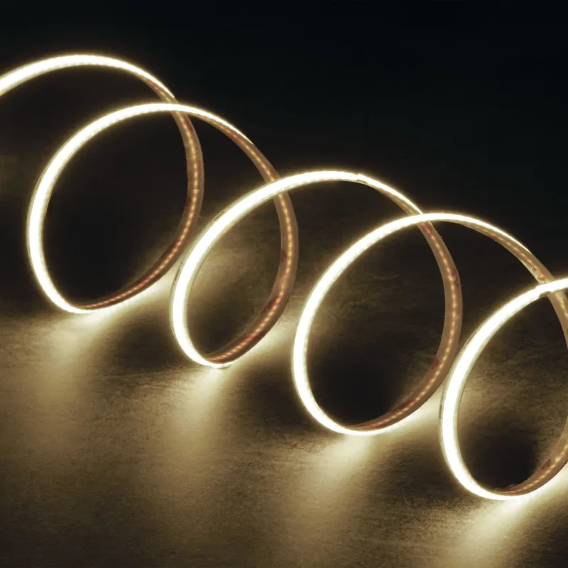 ruban-led-5m-lcob-14wm-cct-14wm-24v-ip65