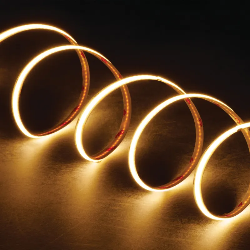 ruban-led-5m-lcob-14wm-cct-14wm-24v-ip65