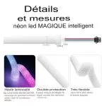 ruban-neon-smart-led-5m-rgbic-dynamique-alexa-google-home