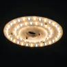 platine-module-mod-led-12-24w-source-led-5-teintes