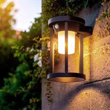 applique-solaire-noire-detecteur-de-mouvement-1w-led-100-lumens-3000k