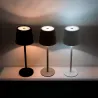 lampe-a-poser-led-cct-2w-tactile-portable-deco-100-lumens