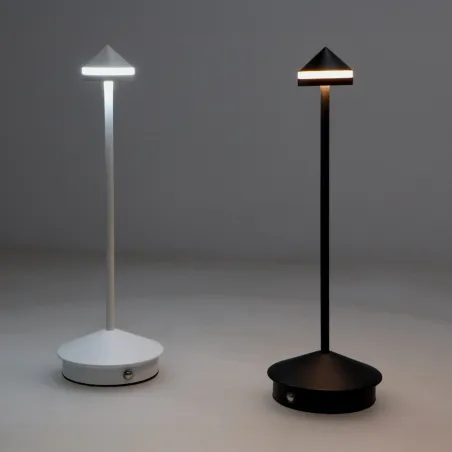 lampe-a-poser-led-cct-2w-tactile-portable-deco-100-lumens