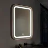 miroir-salle-de-bain-led-cct-lumineux-15w-80cm-decor-bois