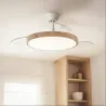 plafonnier-ventilateur-led-cct-bois-pales-retractables-diametre-100cm