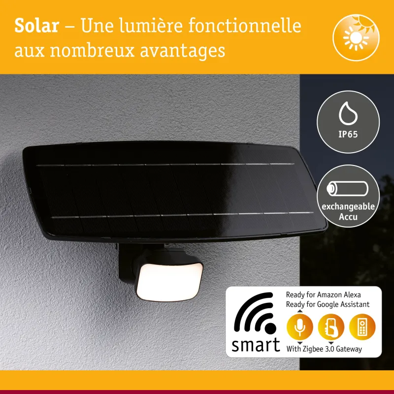 Applique projecteur solaire FLOTAS 700 lm IP65 détecteur de mouvement