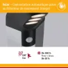 Borne solaire SOLEY 100 lm détecteur de mouvement IP44 anthracite