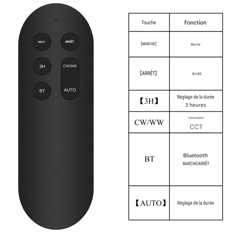Lampadaire LED solaire Bluetooth 250 cm 2800 lm 3CCT avec détecteur PIR et télécommande IP65