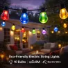Guirlande LED RGBW 10 ampoules 6,5 m 220V – Éclairage multicolore avec blanc chaud pour extérieur