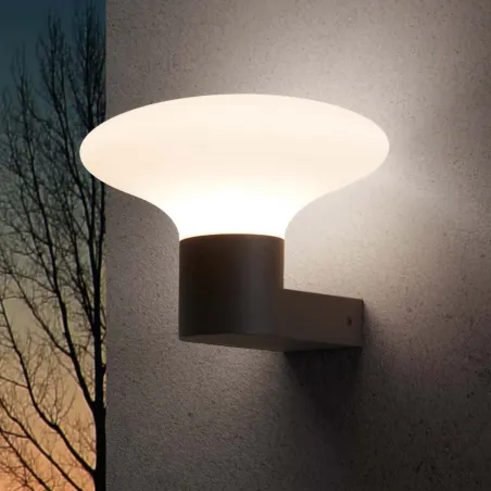 Applique extérieure Faro Bulb's Gris anthracite fonte d'aluminium culot e27