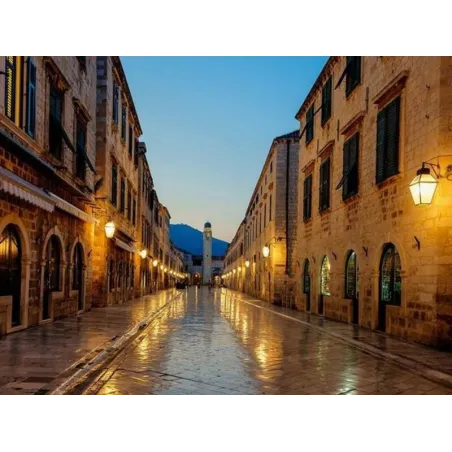 AMPOULE LED E27 40W ECLAIRAGE PUBLIC LAMPADAIRE 360° 3000k-4000k-6000k