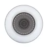 enceinte-bluetooth-etanche-ip67-5w-haut-parleur-connecte-piscine-rgbw