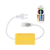 controleur-rubans-led-220v-rgb-rf-30m-led