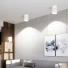 Applique plafonnier 7w led rond blanc orientable saillie