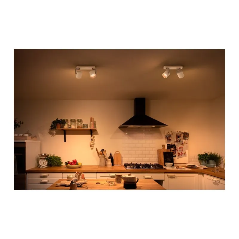 Applique plafonnier 8.6w led double tetes blanc orientable saillie