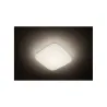 Applique plafonnier Philips 17w led hublot carré saillie