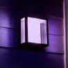 Applique extérieure rgbw Philips Hue 16w led 1200lm ip44 noire