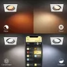 Spot encastrable carré blanc Philips Hue rgbw 6w led
