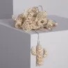 Guirlande a piles 2m forme cactus décoration fêtes sapin table blanc chaud