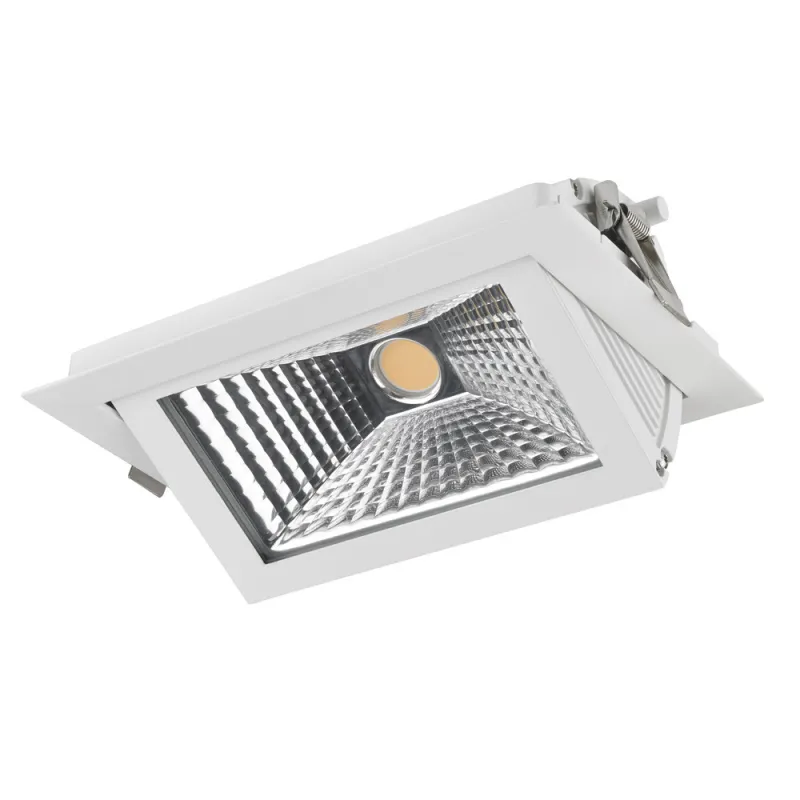SINOPE  Encastré Rect.Bascul. LED 42W FISH Bl - Pas cher