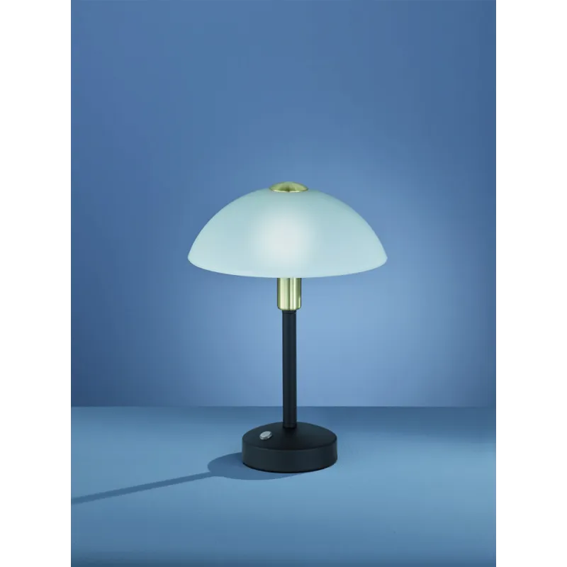 TRIO Lampe de table intérieur noir mat et blanc DONNA - Pas cher