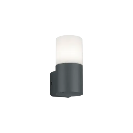 TRIO Applique extérieur antracite et blanc HOOSIC - Pas cher