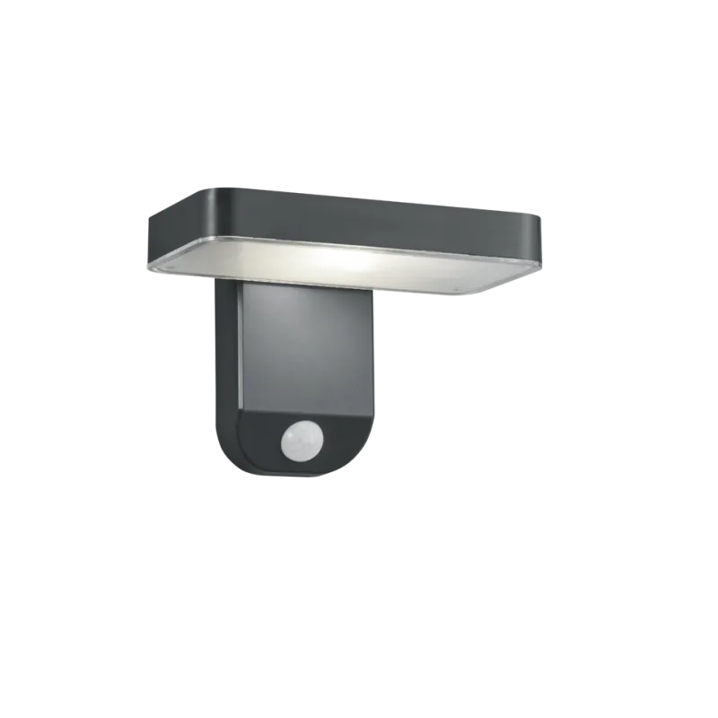 TRIO Applique extérieur antracite ESQUEL - Pas cher