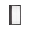 TRIO Applique extérieur antracite SUEZ - Pas cher