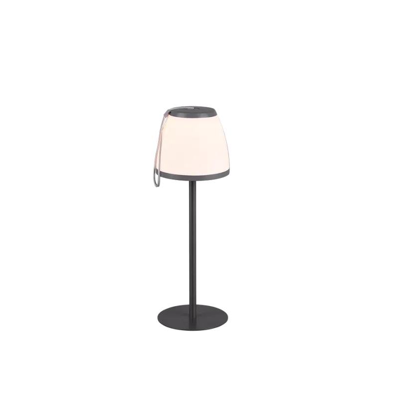 TRIO Lampe de table extérieur antracite DOMINGO - Pas cher