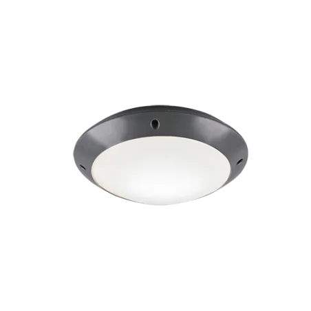 TRIO Plafonnier extérieur antracite et blanc mat CAMARO - Pas cher