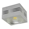 GUSTI LED 10W 4000K Plafonnier COB LED, inclus - Pas cher