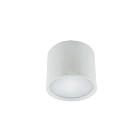 ROLEN LED 3W BLANC 4000K Plafonnier SMD LED SMD LED, inclus - Pas cher