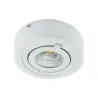 IGOR LED C 6W BLANC 4000K Plafonnier COB LED, inclus - Pas cher