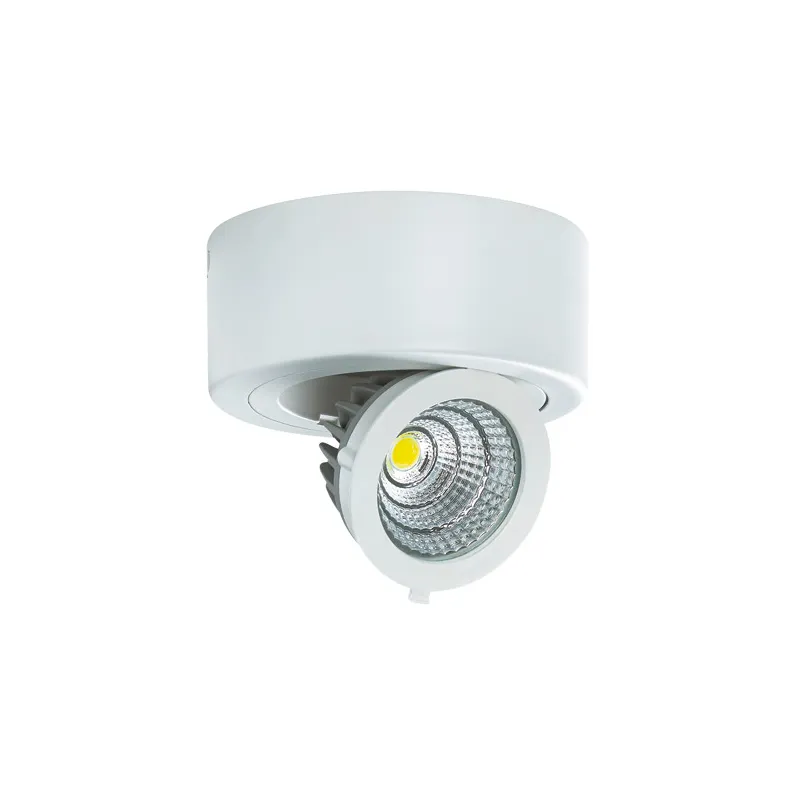 IGOR LED C 6W BLANC 4000K Plafonnier COB LED, inclus - Pas cher