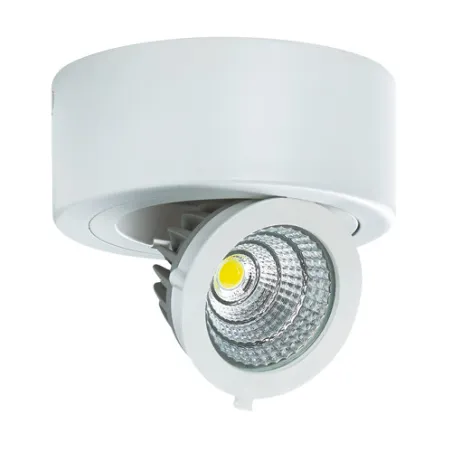 IGOR LED C 6W BLANC 4000K Plafonnier COB LED, inclus - Pas cher