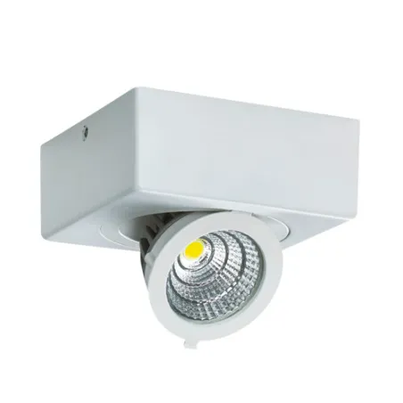 IGOR LED D 6W BLANC 4000K Plafonnier COB LED, inclus - Pas cher