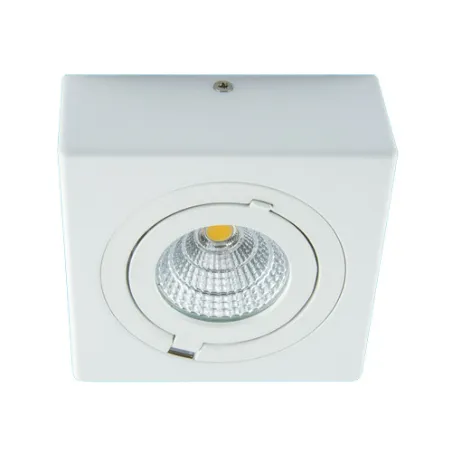 IGOR LED D 6W BLANC 4000K Plafonnier COB LED, inclus - Pas cher